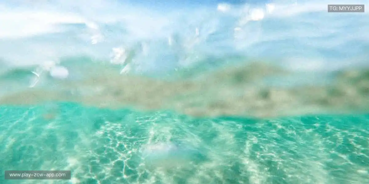 赛事回放，精彩永不落幕！⏯️📽️